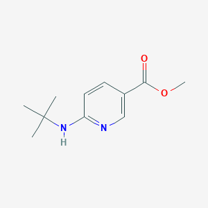 Methyl 6-(tert-butylamino)nicotinate