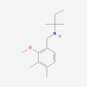 N-(2-Methoxy-3,4-dimethylbenzyl)-2-methylbutan-2-amine