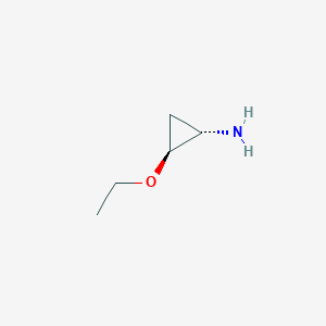 molecular formula C5H11NO B12998393 (1S,2S)-2-Ethoxycyclopropan-1-amine 