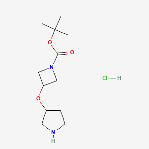 tert-Butyl 3-(pyrrolidin-3-yloxy)azetidine-1-carboxylate hydrochloride