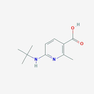 molecular formula C11H16N2O2 B12999100 6-(tert-Butylamino)-2-methylnicotinic acid 