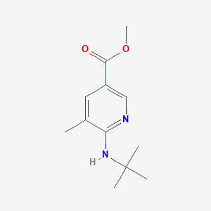 Methyl 6-(tert-butylamino)-5-methylnicotinate