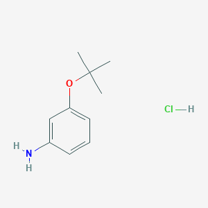 3-(tert-Butoxy)aniline hydrochloride