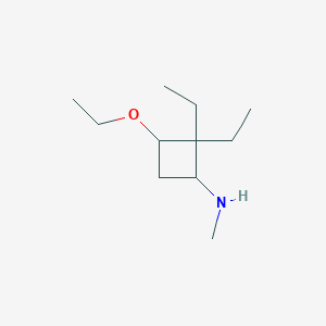 molecular formula C11H23NO B13000569 3-ethoxy-2,2-diethyl-N-methylcyclobutan-1-amine 