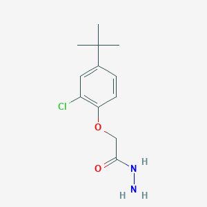 molecular formula C12H17ClN2O2 B13000908 2-(4-(tert-Butyl)-2-chlorophenoxy)acetohydrazide 