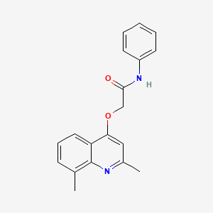 2-((2,8-Dimethylquinolin-4-yl)oxy)-N-phenylacetamide