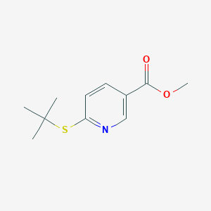 molecular formula C11H15NO2S B13001425 Methyl 6-(tert-butylthio)nicotinate 