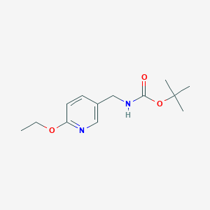 molecular formula C13H20N2O3 B13001876 tert-Butyl ((6-ethoxypyridin-3-yl)methyl)carbamate 