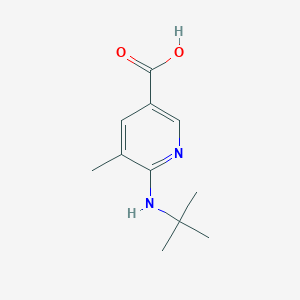 molecular formula C11H16N2O2 B13002383 6-(tert-Butylamino)-5-methylnicotinic acid 