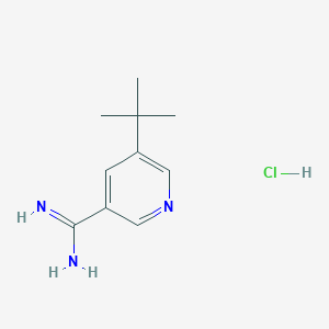 molecular formula C10H16ClN3 B13003253 5-(tert-Butyl)nicotinimidamide hydrochloride 