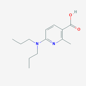 molecular formula C13H20N2O2 B13003661 6-(Dipropylamino)-2-methylnicotinic acid CAS No. 1355172-53-0