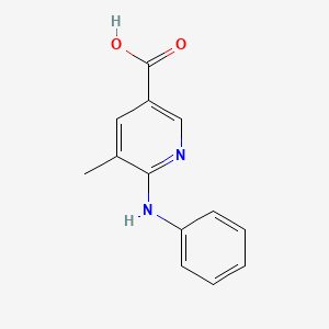 molecular formula C13H12N2O2 B13004716 5-Methyl-6-(phenylamino)nicotinic acid 