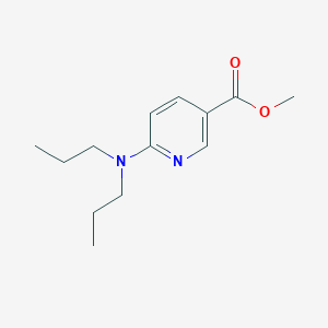 molecular formula C13H20N2O2 B13005078 Methyl 6-(dipropylamino)nicotinate 