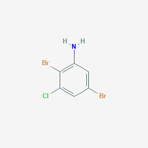 molecular formula C6H4Br2ClN B13005751 2,5-Dibromo-3-chloroaniline 