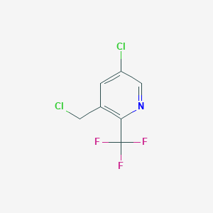 molecular formula C7H4Cl2F3N B13006426 5-Chloro-3-(chloromethyl)-2-(trifluoromethyl)pyridine 