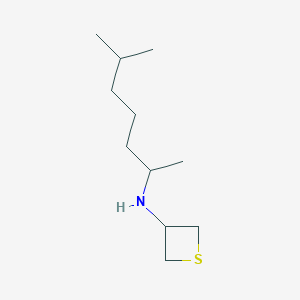 molecular formula C11H23NS B13007130 N-(6-Methylheptan-2-yl)thietan-3-amine 