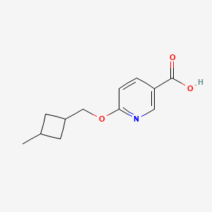 molecular formula C12H15NO3 B13007440 6-((3-Methylcyclobutyl)methoxy)nicotinic acid 