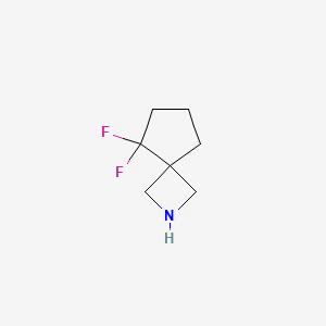 molecular formula C7H11F2N B13007862 5,5-Difluoro-2-azaspiro[3.4]octane 