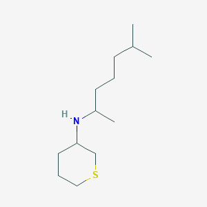 molecular formula C13H27NS B13007955 N-(6-Methylheptan-2-yl)tetrahydro-2H-thiopyran-3-amine 