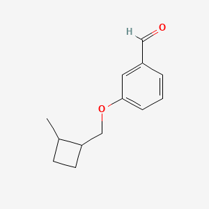 molecular formula C13H16O2 B13008800 3-((2-Methylcyclobutyl)methoxy)benzaldehyde 