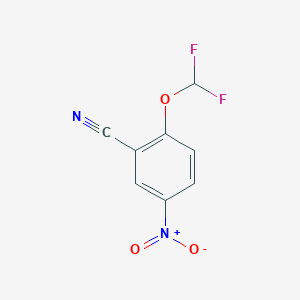 molecular formula C8H4F2N2O3 B13008853 2-(Difluoromethoxy)-5-nitrobenzonitrile 