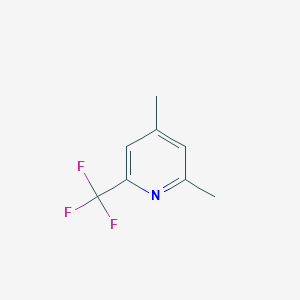 molecular formula C8H8F3N B13010062 2,4-Dimethyl-6-(trifluoromethyl)pyridine 