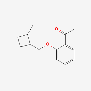 molecular formula C14H18O2 B13010415 1-(2-((2-Methylcyclobutyl)methoxy)phenyl)ethanone 