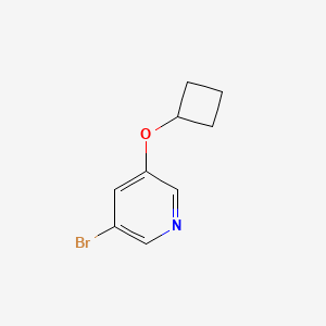 molecular formula C9H10BrNO B13010435 3-Bromo-5-cyclobutoxypyridine 