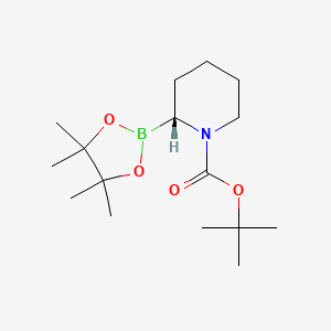 tert-butyl (2R)-2-(4,4,5,5-tetramethyl-1,3,2-dioxaborolan-2-yl)piperidine-1-carboxylate