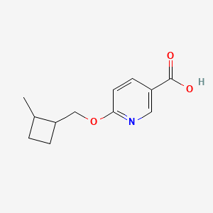 molecular formula C12H15NO3 B13013288 6-((2-Methylcyclobutyl)methoxy)nicotinic acid 