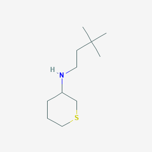 molecular formula C11H23NS B13013699 N-(3,3-Dimethylbutyl)tetrahydro-2H-thiopyran-3-amine 