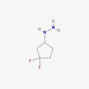 molecular formula C5H10F2N2 B13013769 (3,3-Difluorocyclopentyl)hydrazine 