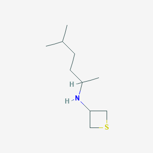 molecular formula C10H21NS B13013989 N-(5-Methylhexan-2-yl)thietan-3-amine 