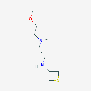 molecular formula C9H20N2OS B13014093 N1-(2-Methoxyethyl)-N1-methyl-N2-(thietan-3-yl)ethane-1,2-diamine 