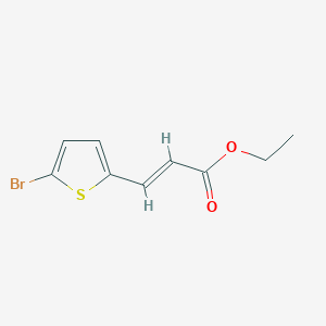 molecular formula C9H9BrO2S B13014173 Ethyl 3-(5-bromothiophen-2-yl)acrylate 