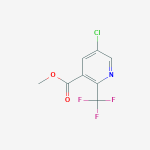 molecular formula C8H5ClF3NO2 B13014686 Methyl 5-chloro-2-(trifluoromethyl)nicotinate 