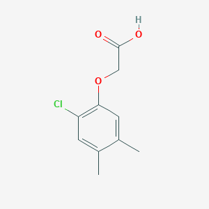 molecular formula C10H11ClO3 B13014891 2-(2-Chloro-4,5-dimethylphenoxy)acetic acid CAS No. 1585-23-5