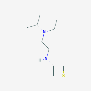 molecular formula C10H22N2S B13015531 N1-Ethyl-N1-isopropyl-N2-(thietan-3-yl)ethane-1,2-diamine 