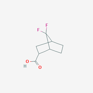 molecular formula C8H10F2O2 B13016110 7,7-Difluorobicyclo[2.2.1]heptane-2-carboxylic acid CAS No. 1432679-45-2