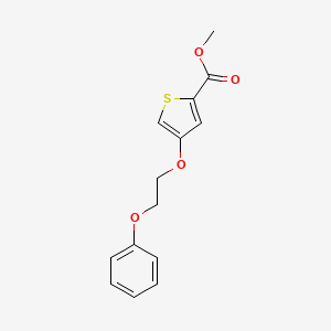 molecular formula C14H14O4S B13016311 Methyl 4-(2-phenoxyethoxy)thiophene-2-carboxylate CAS No. 1708079-54-2