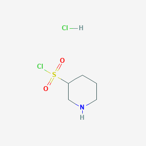 molecular formula C5H11Cl2NO2S B13016674 Piperidine-3-sulfonyl chloride hydrochloride 