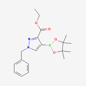 molecular formula C19H25BN2O4 B13018235 Ethyl 1-benzyl-4-(4,4,5,5-tetramethyl-1,3,2-dioxaborolan-2-yl)-1H-pyrazole-3-carboxylate 