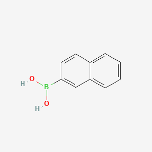 B1301966 2-Naphthaleneboronic acid CAS No. 32316-92-0