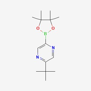 2-(tert-Butyl)-5-(4,4,5,5-tetramethyl-1,3,2-dioxaborolan-2-yl)pyrazine