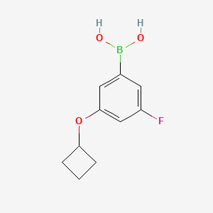 (3-Cyclobutoxy-5-fluorophenyl)boronic acid