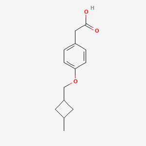 molecular formula C14H18O3 B13024264 2-(4-((3-Methylcyclobutyl)methoxy)phenyl)acetic acid CAS No. 1399652-74-4