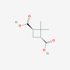 molecular formula C8H12O4 B13024657 trans-2,2-Dimethylcyclobutane-1,3-dicarboxylicacid 