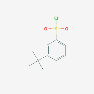 molecular formula C10H13ClO2S B1302608 3-tert-butylbenzenesulfonyl Chloride CAS No. 2905-26-2