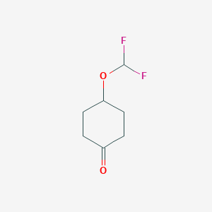 molecular formula C7H10F2O2 B13026227 4-(Difluoromethoxy)cyclohexan-1-one CAS No. 1418026-57-9