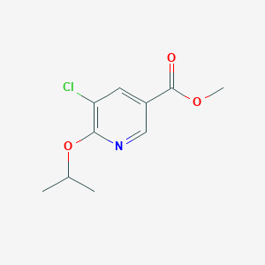 molecular formula C10H12ClNO3 B13026509 Methyl 5-chloro-6-isopropoxynicotinate 